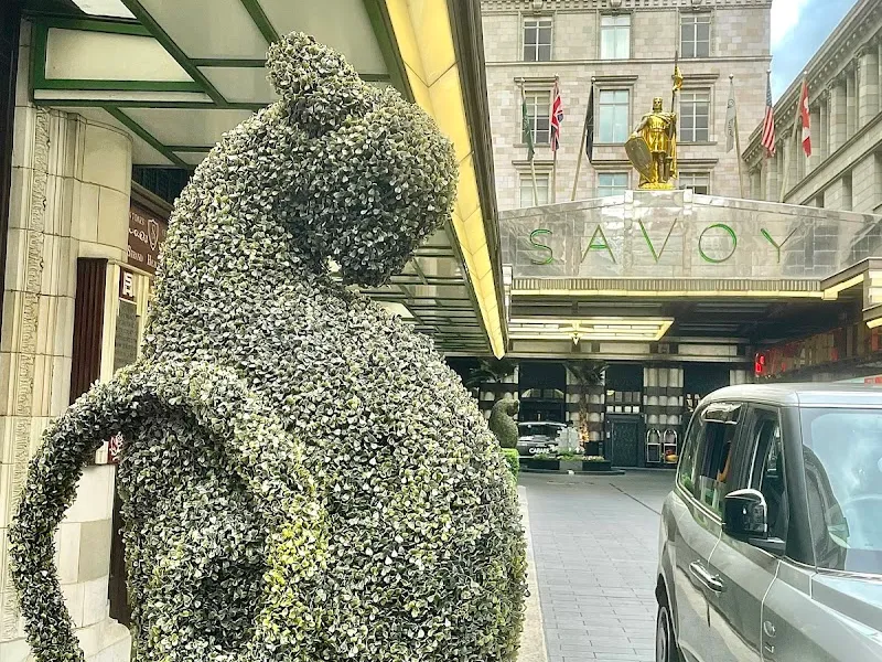 The Savoy Hotel